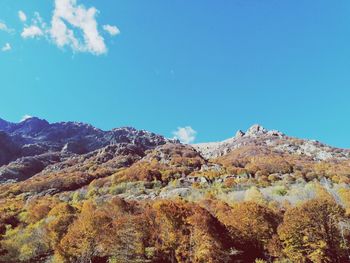Scenic view of landscape against blue sky