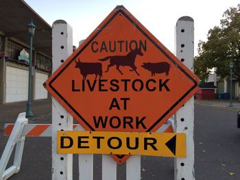 Close-up of road sign