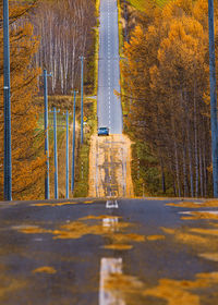 Road amidst trees in forest during autumn