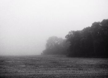 Scenic view of landscape in foggy weather