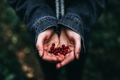 Cropped image of hands holding fruits