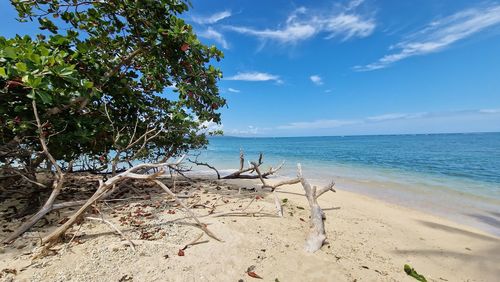 Scenic view of beach against sky