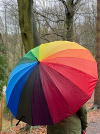 Multi colored umbrella in woodlands 