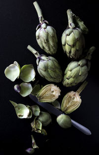 Close-up of fruits over black background