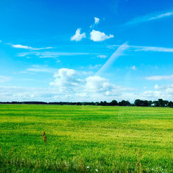 Scenic view of agricultural field against blue sky