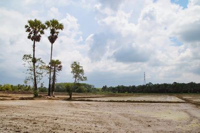 Scenic view of land against sky