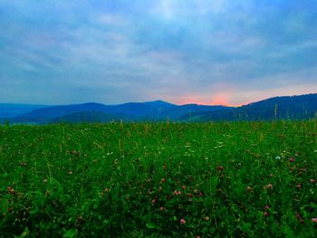 Scenic view of field against cloudy sky