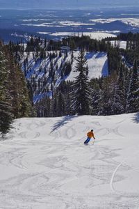 Man skiing on snow covered land during winter