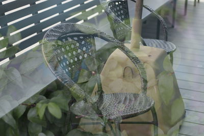 Close-up of plants in cage