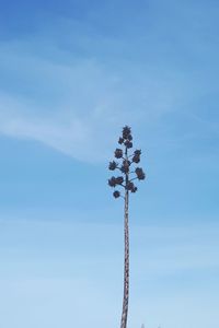 Low angle view of amusement park ride against blue sky