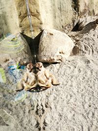 Low section of people on beach