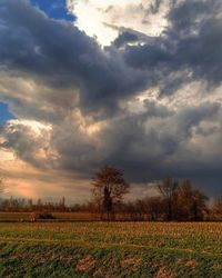 Scenic view of field against sky during sunset