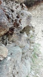 Close-up of rocks against blurred background