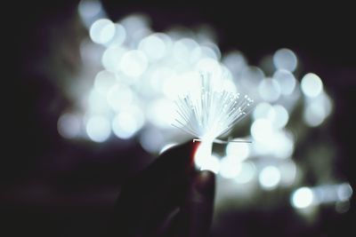 Close-up of hand holding flower at night