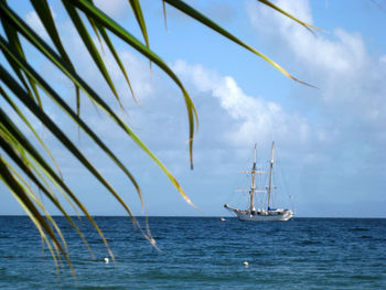 Sailboat sailing in sea against sky