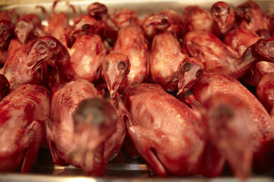 Close-up of meat on barbecue grill