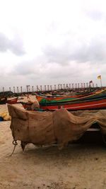 Boats on beach against sky