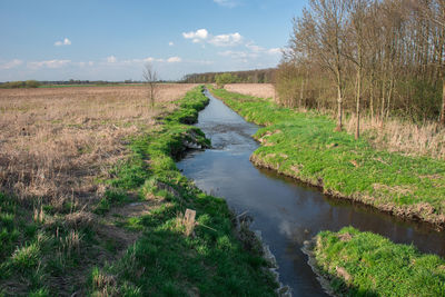 Small river uherka in eastern poland - view on a spring sunny day