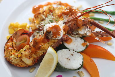 Close-up of food served in plate