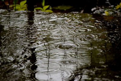 Reflection of fountain in lake