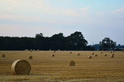Hay bales on field against sky