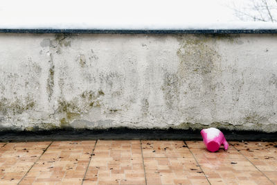 Close-up of pink wall on footpath