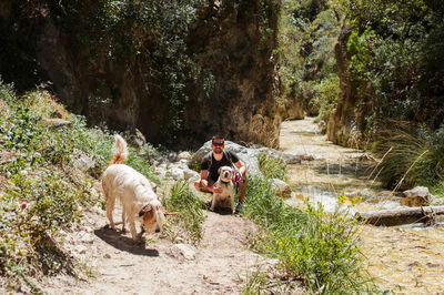 Young man at river with two dogs in summer