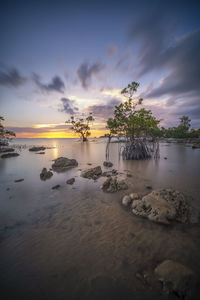 Scenic view of sea against sky during sunset