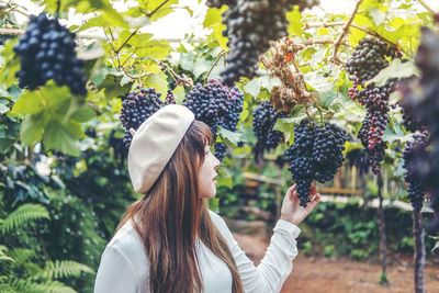 Young woman touching grapes growing at vineyard