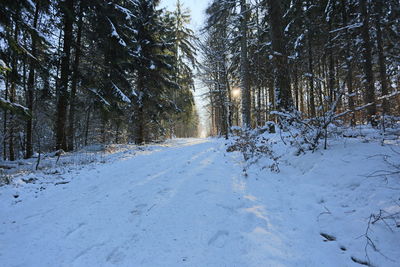 snow
