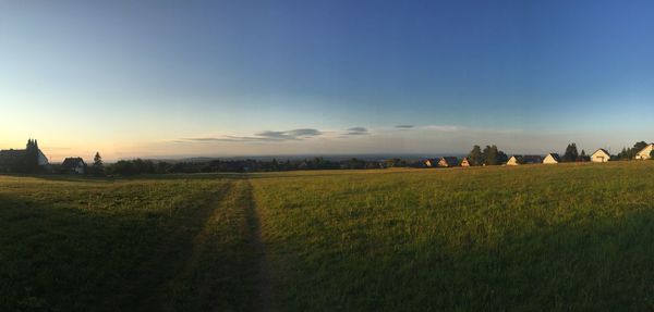 Scenic view of field against clear sky