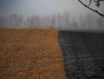 Scenic view of field against sky during winter