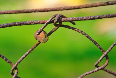 Close-up of barbed wire on fence