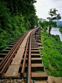 Railroad tracks amidst trees against sky