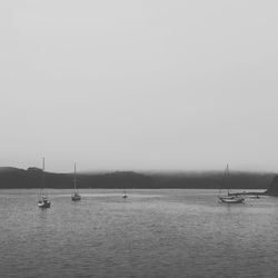 Sailboats sailing in sea against clear sky