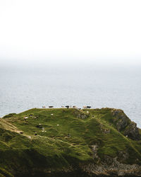 Scenic view of sea by field against clear sky