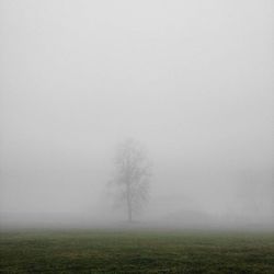 Scenic view of field in foggy weather