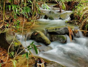 Stream flowing through rocks in forest