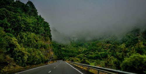 Road amidst trees against sky