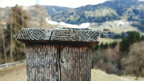 Close-up of wood against sky