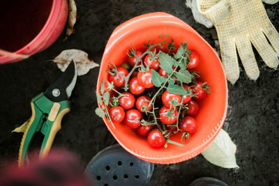 High angle view of tomatoes in basket