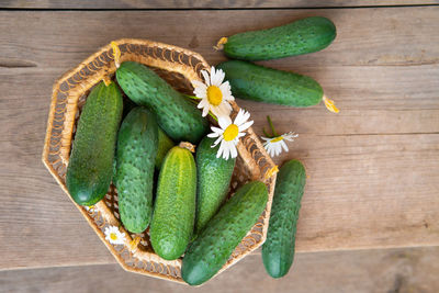 High angle view of flowering plant on table