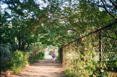 Woman walking on road amidst trees