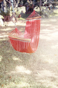 Close-up of swing hanging on tree
