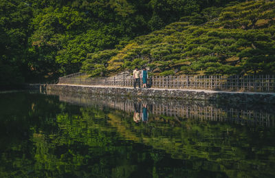 Reflection of trees on lake