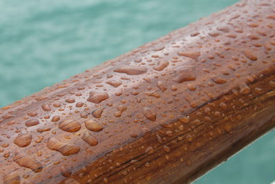 Close-up of water drops on sea shore