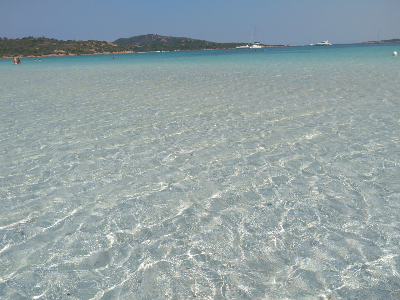 SCENIC VIEW OF BEACH AGAINST CLEAR SKY