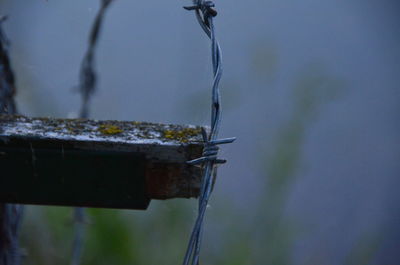 Close-up of water drop