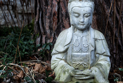 Close-up of statue