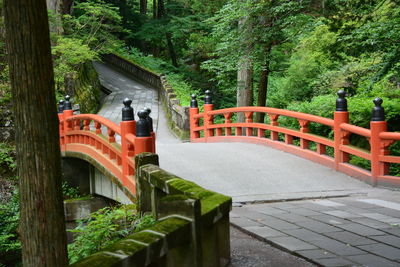 View of footpath in park